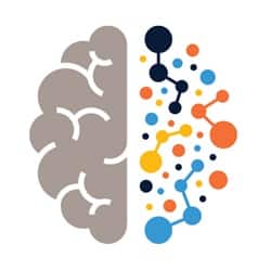 A drawing of a brain that is half grey matter and half neurons 