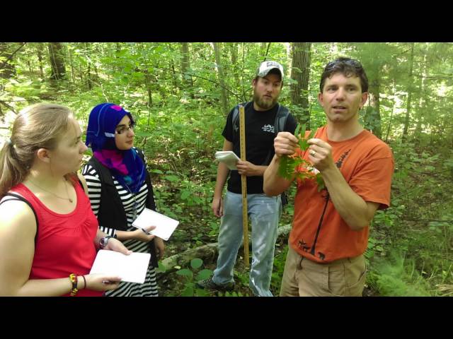 The Southern New Hampshire University Arboretum